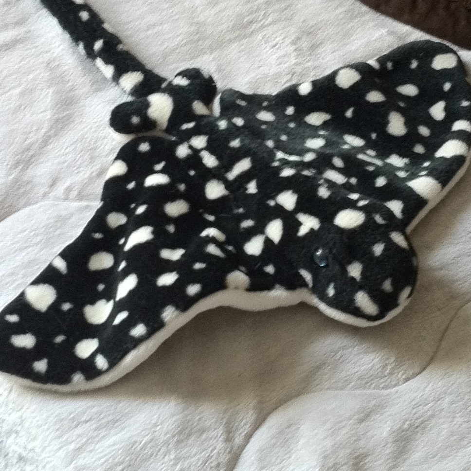 CodedStingray