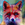 doot - Frequent Poster